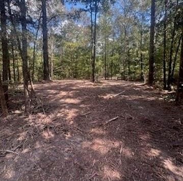 10.13 acres in Upshur County gallery image 3