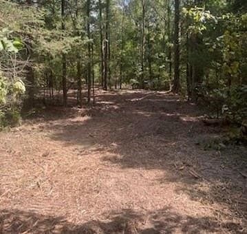 10.13 acres in Upshur County gallery image 2