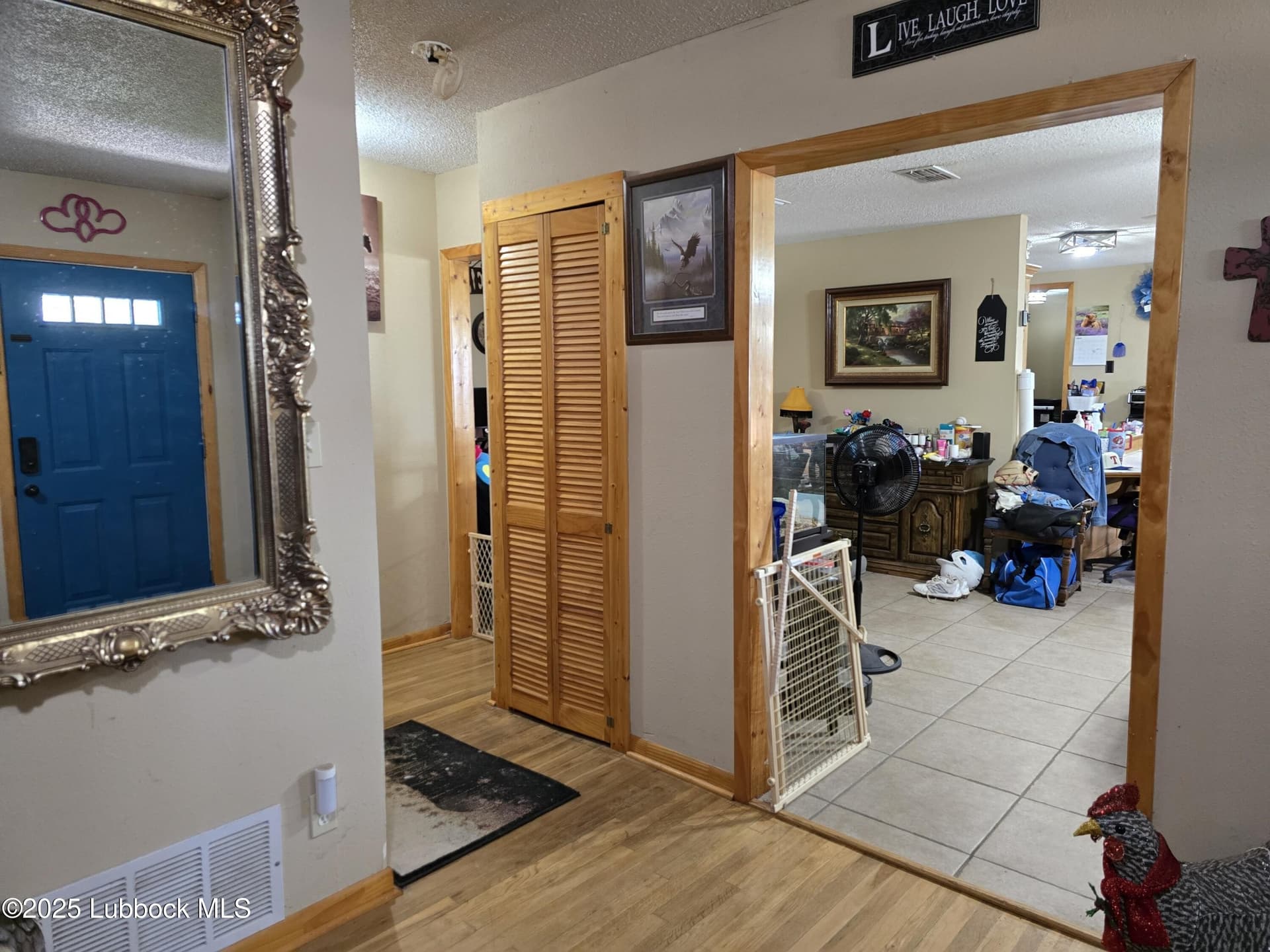 38.97 acres in Hale County gallery image 4