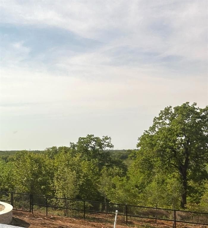 1.23 acres in Denton County gallery image 4