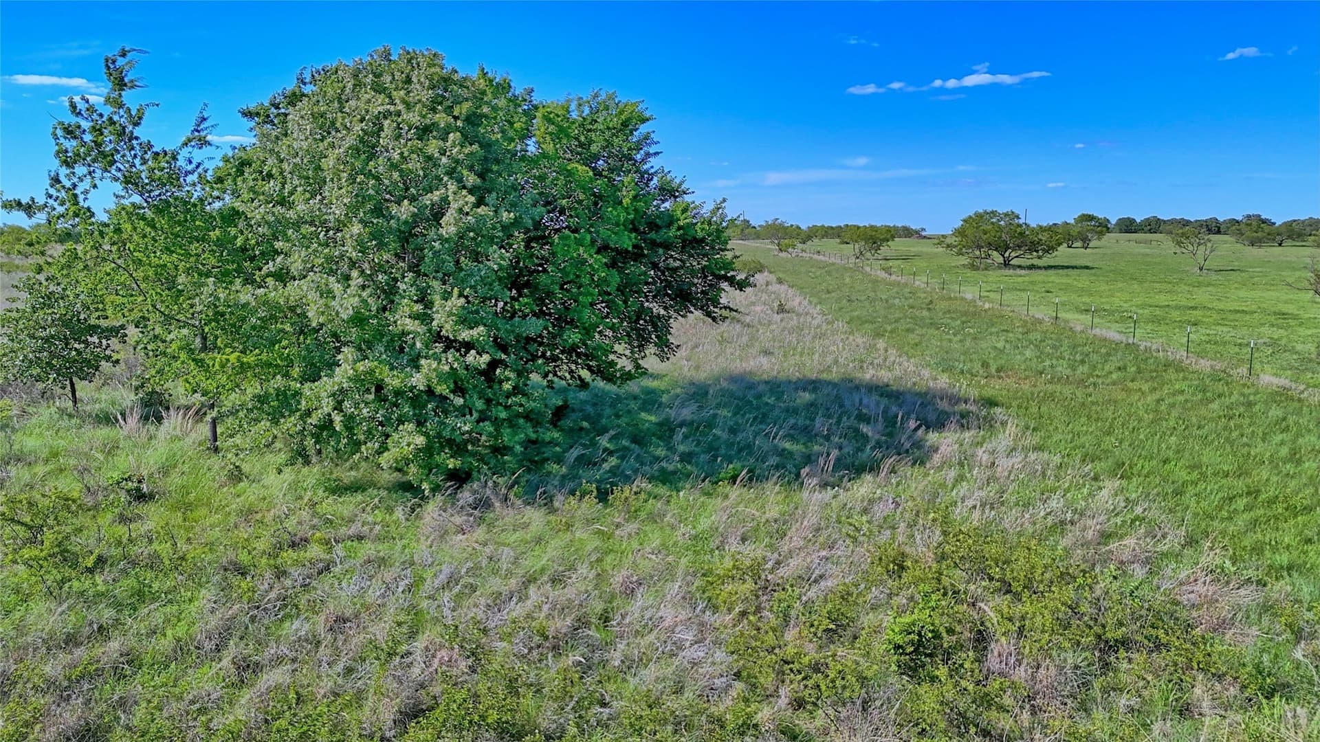 52.48 acres in Montague County - photo 10