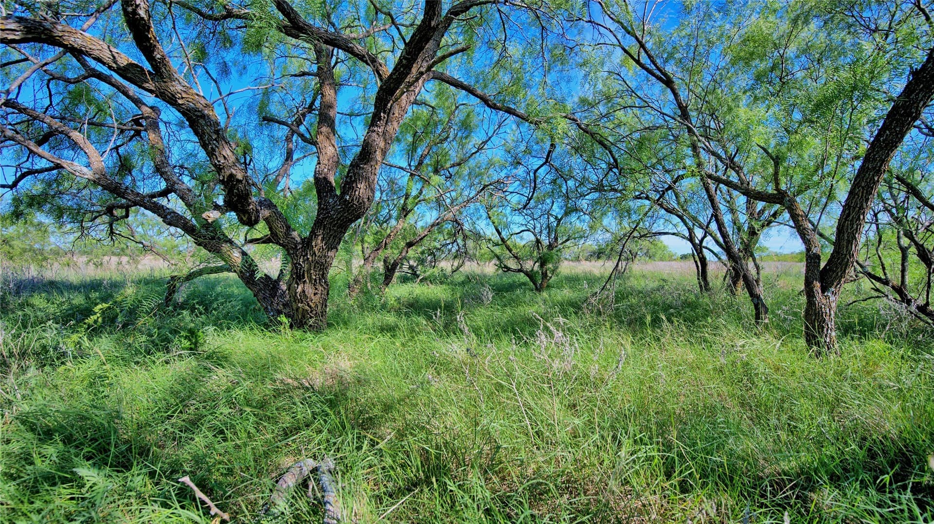 52.48 acres in Montague County - photo 3