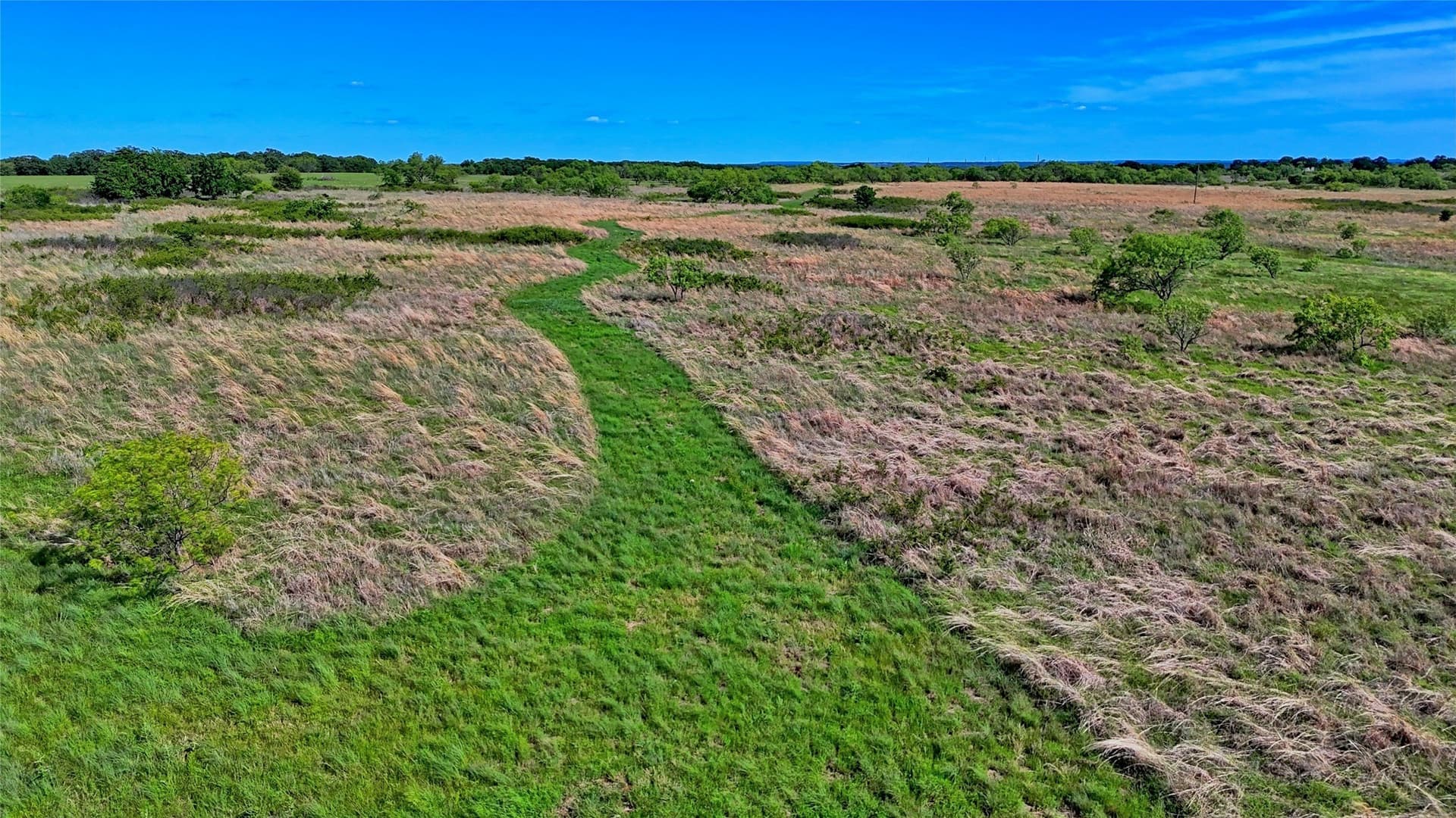 52.48 acres in Montague County - photo 9