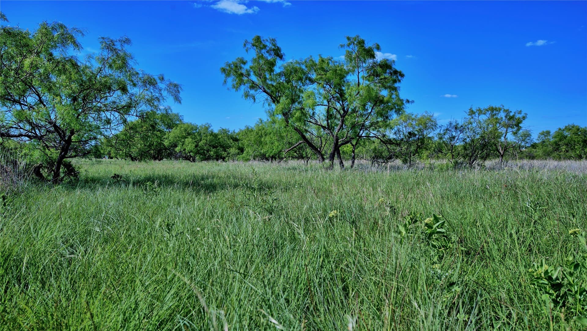 52.48 acres in Montague County - photo 16