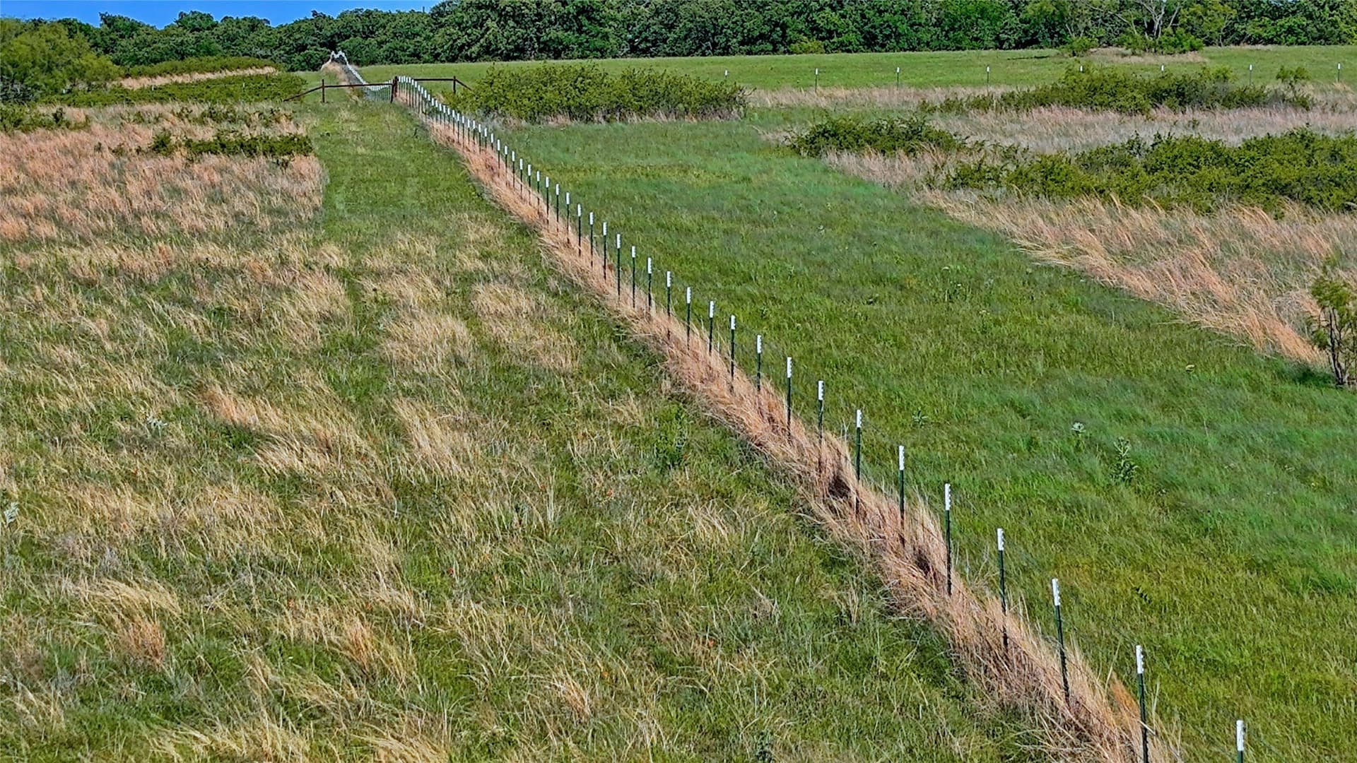 52.48 acres in Montague County - photo 5