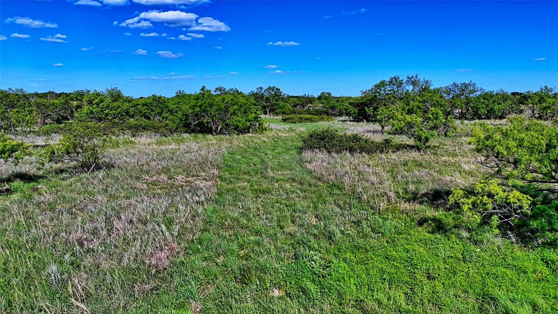52.48 acres in Montague County - photo 22