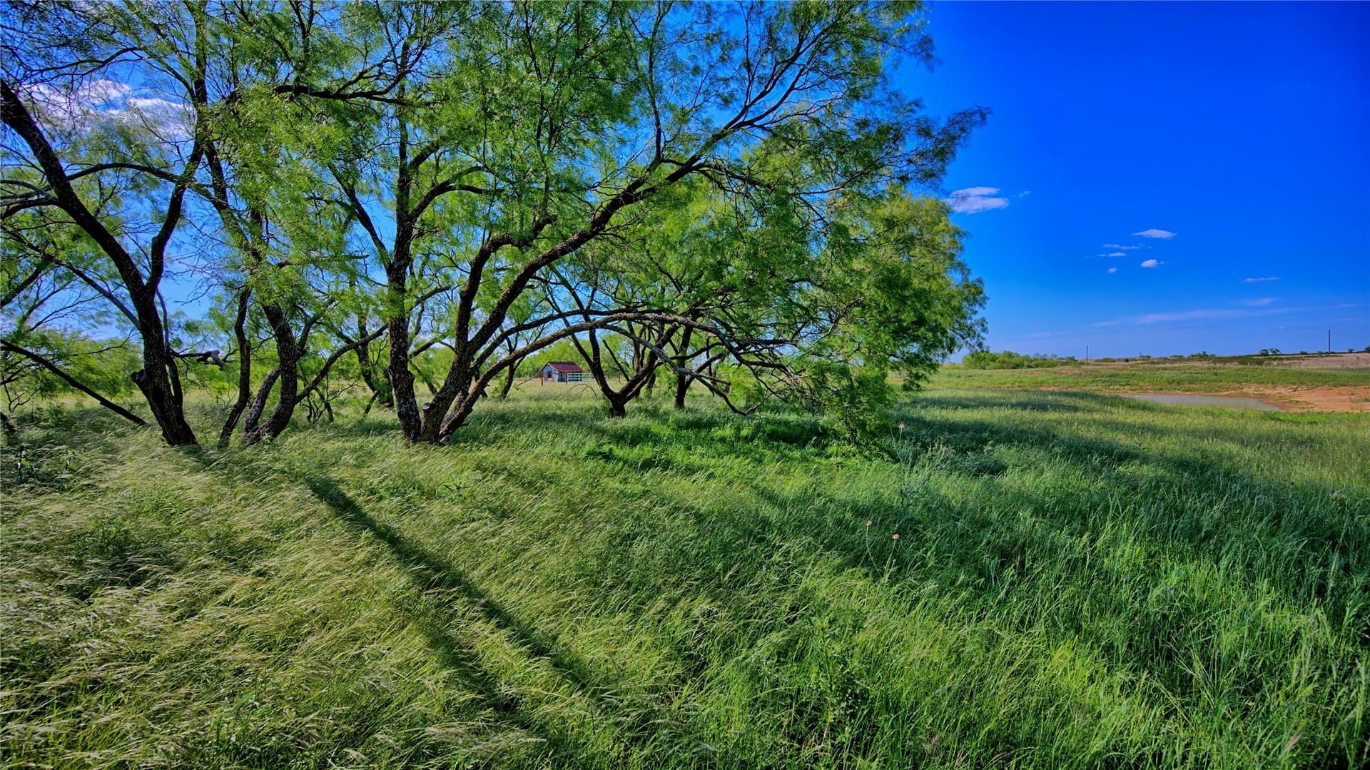 52.48 acres in Montague County - photo 14