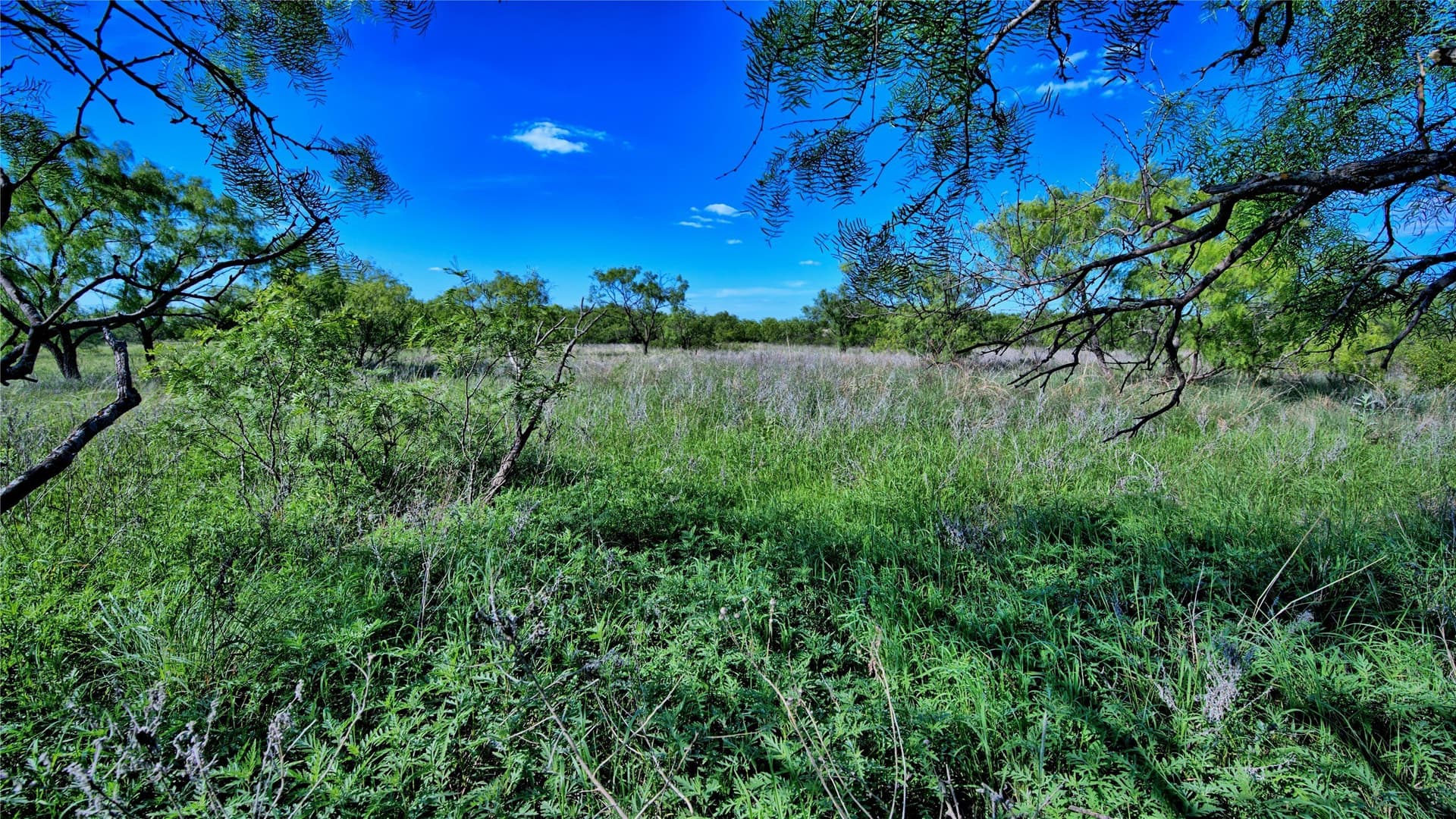 52.48 acres in Montague County - photo 26