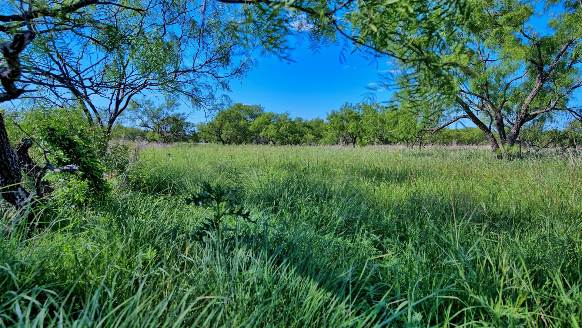 52.48 acres in Montague County - photo 13
