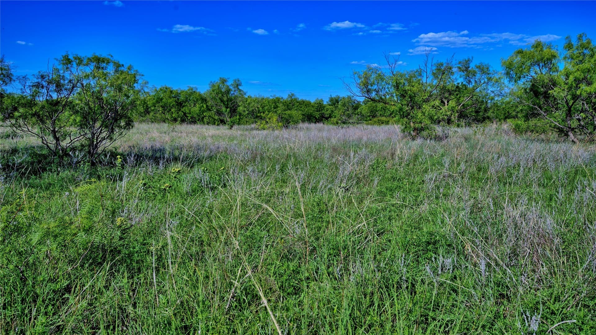 52.48 acres in Montague County - photo 17