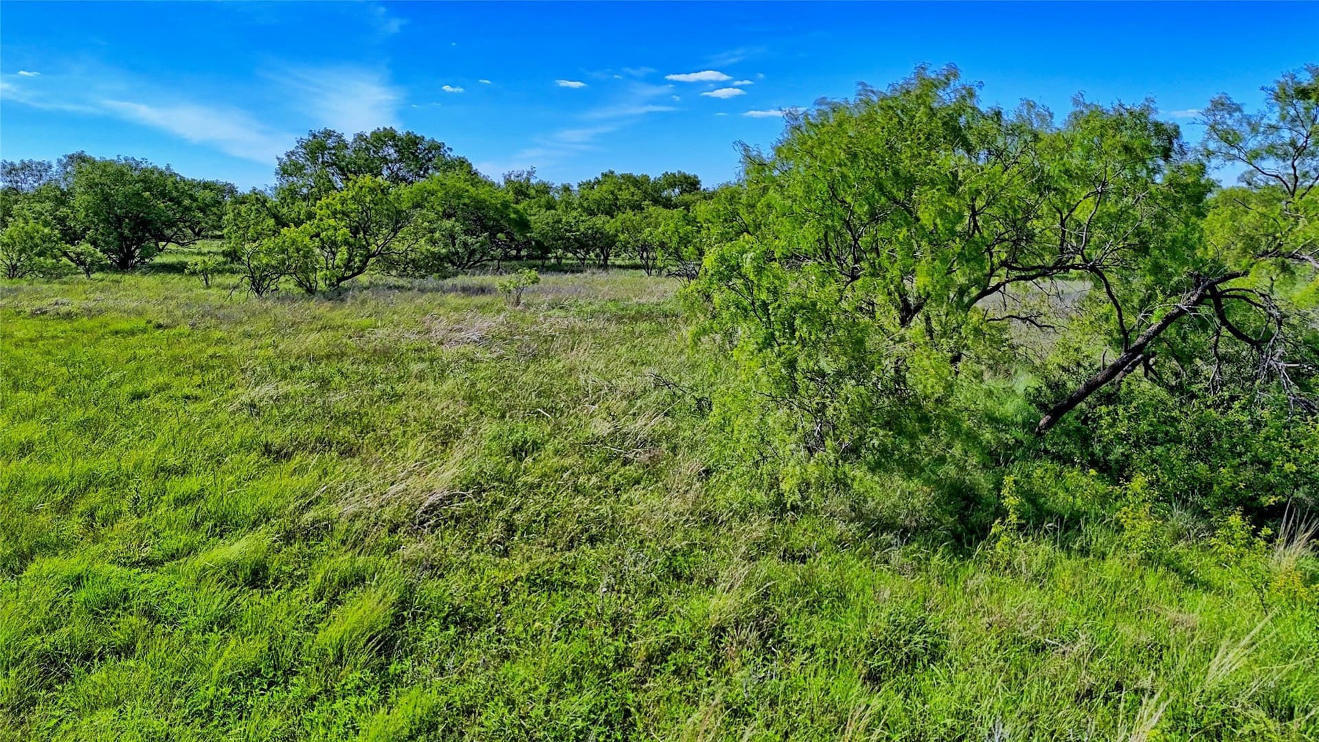 52.48 acres in Montague County - photo 11