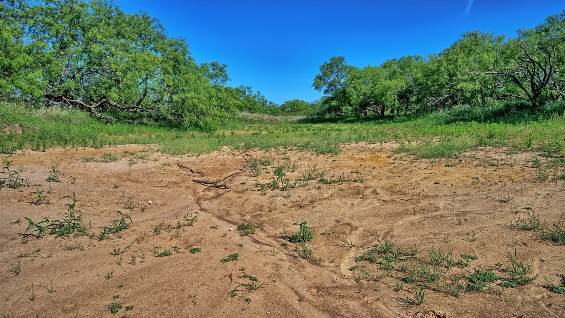 52.48 acres in Montague County - photo 15