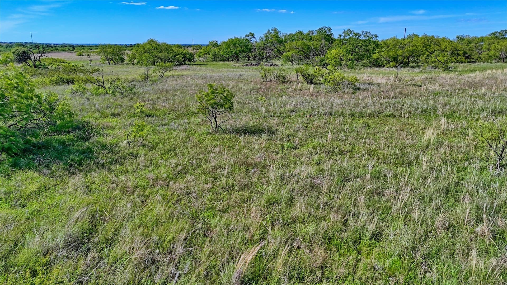 52.48 acres in Montague County - photo 6