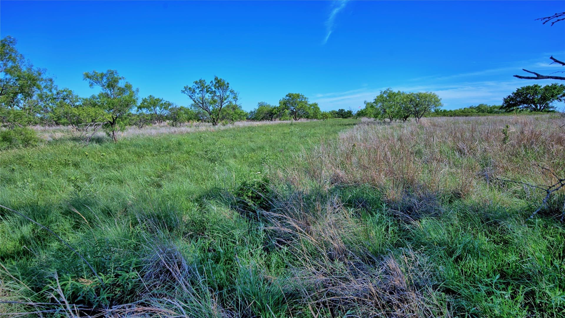 52.48 acres in Montague County - photo 7