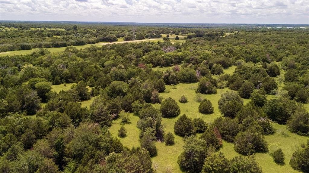 10 acres in Freestone County gallery image 4