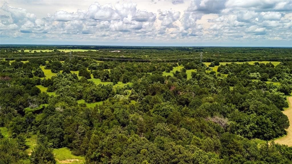 10 acres in Freestone County gallery image 3