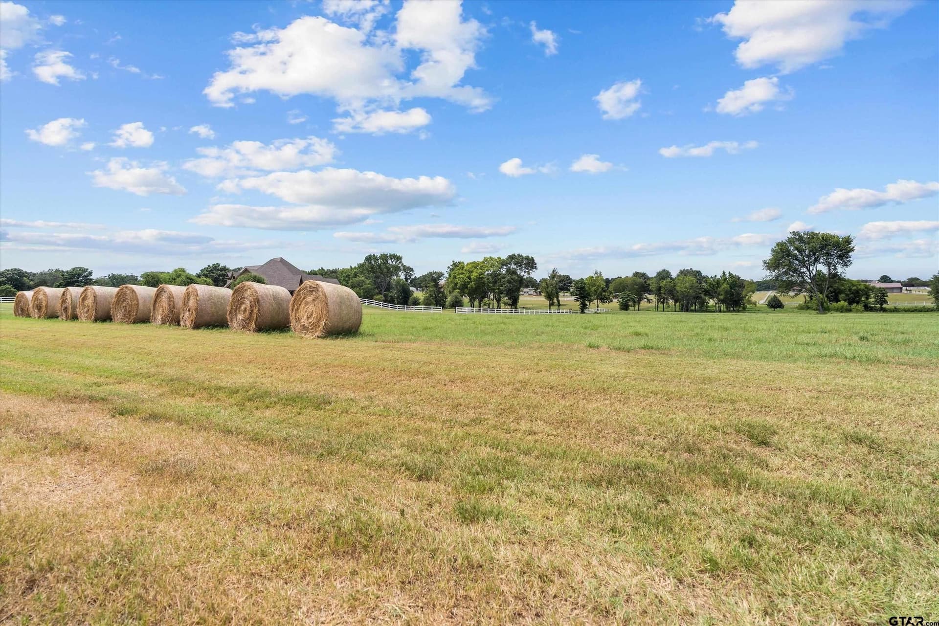 5 acres in Smith County gallery image 3