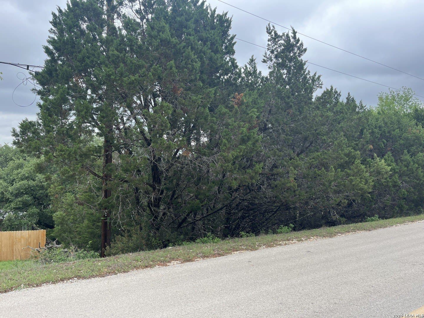 0.51 acres in Comal County gallery image 3