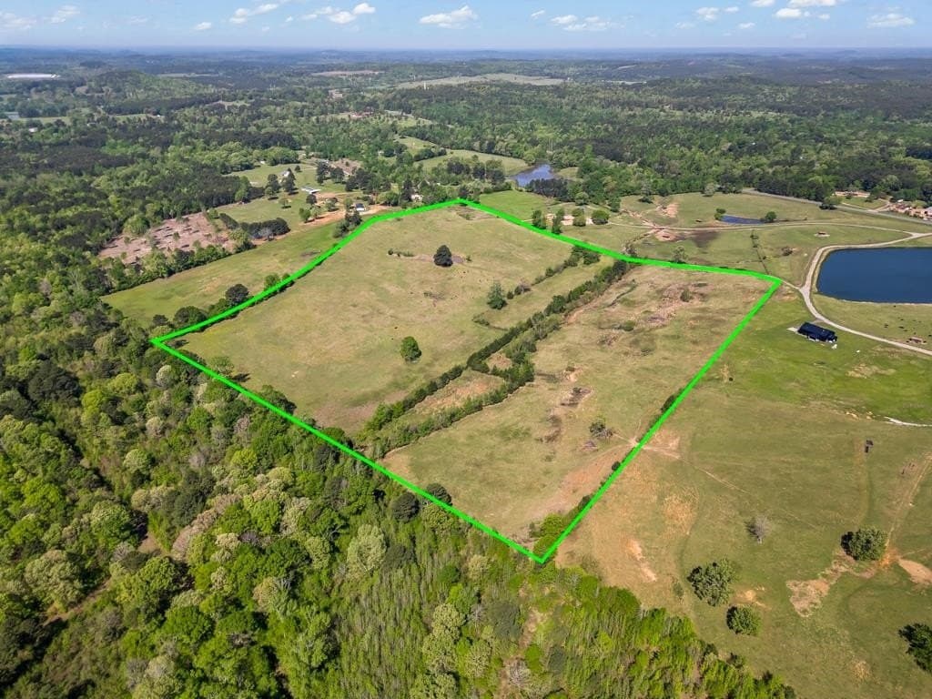 50 acres in Upshur County gallery image 3