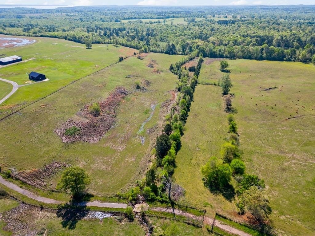 50 acres in Upshur County featured view