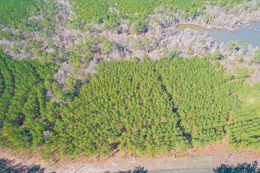 2.96 acres in Texas County featured view