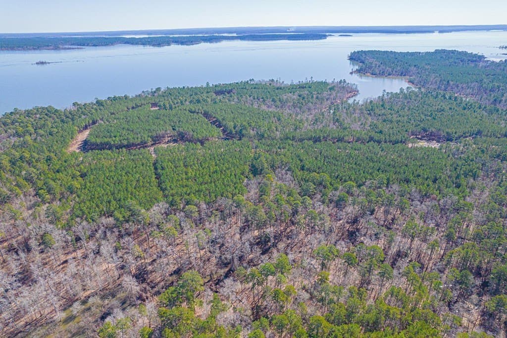 2.96 acres in Texas County gallery image 4