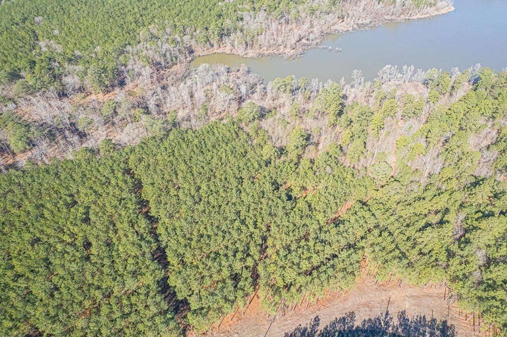 2.96 acres in Texas County gallery image 3