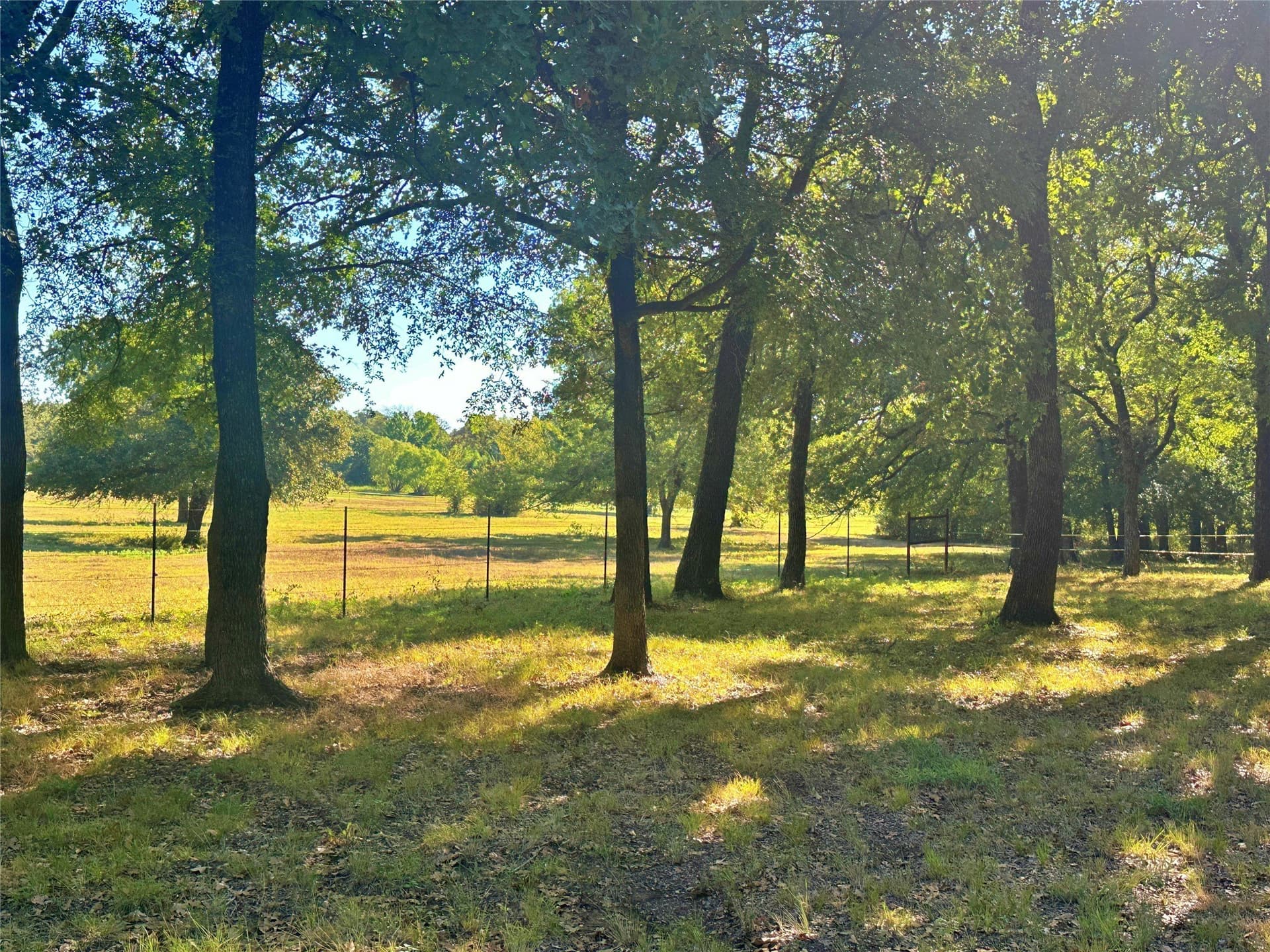 11 acres in Cooke County - photo 19