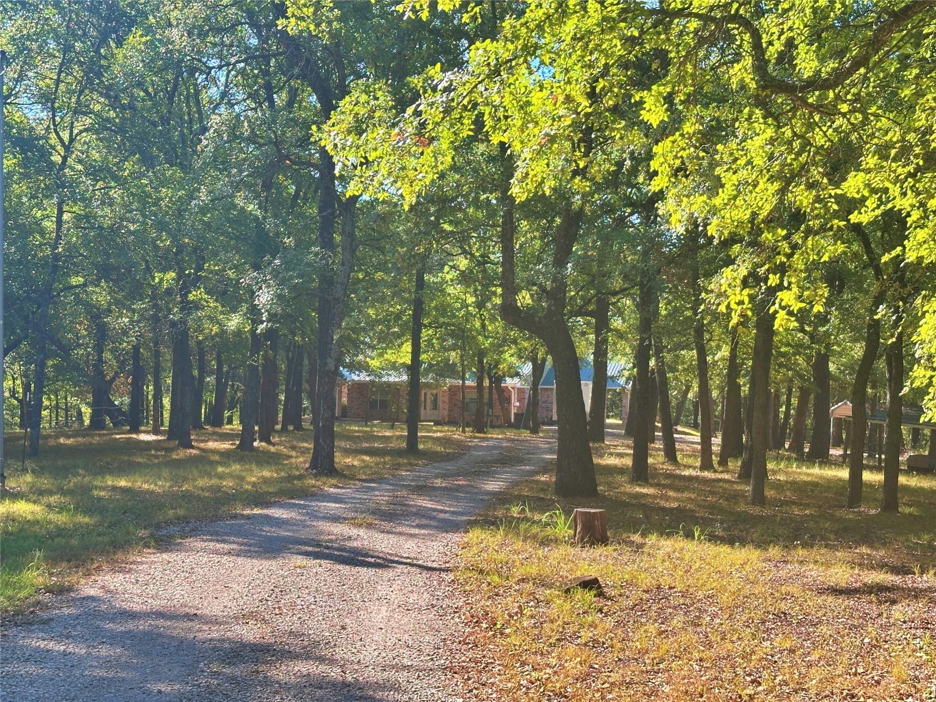 11 acres in Cooke County - photo 17