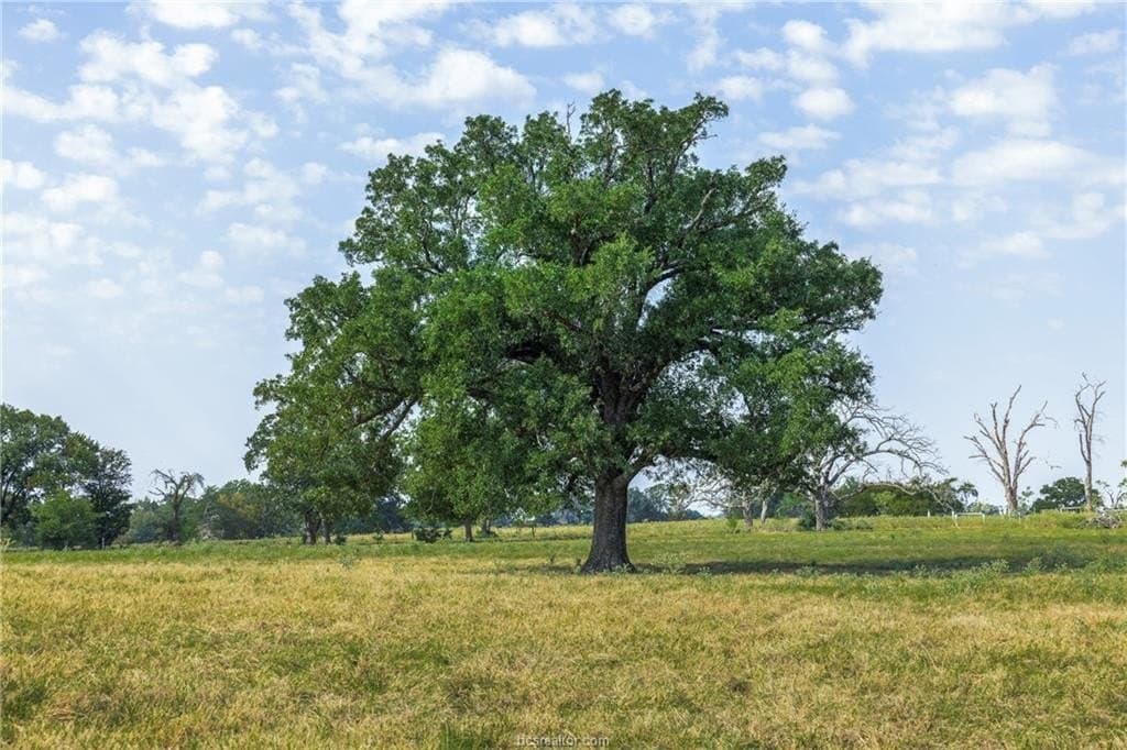 11.35 acres in Robertson County