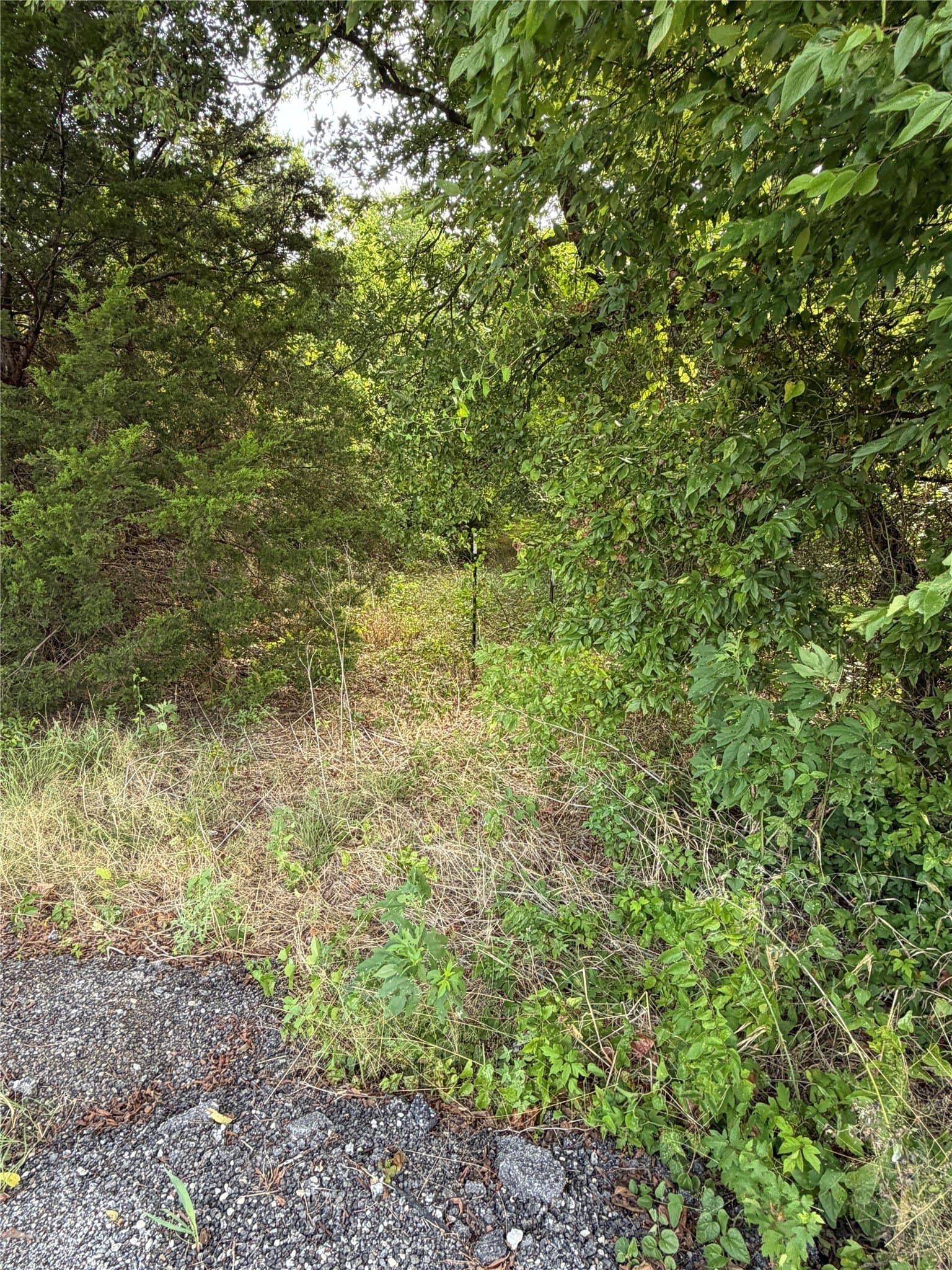 10.01 acres in Johnson County