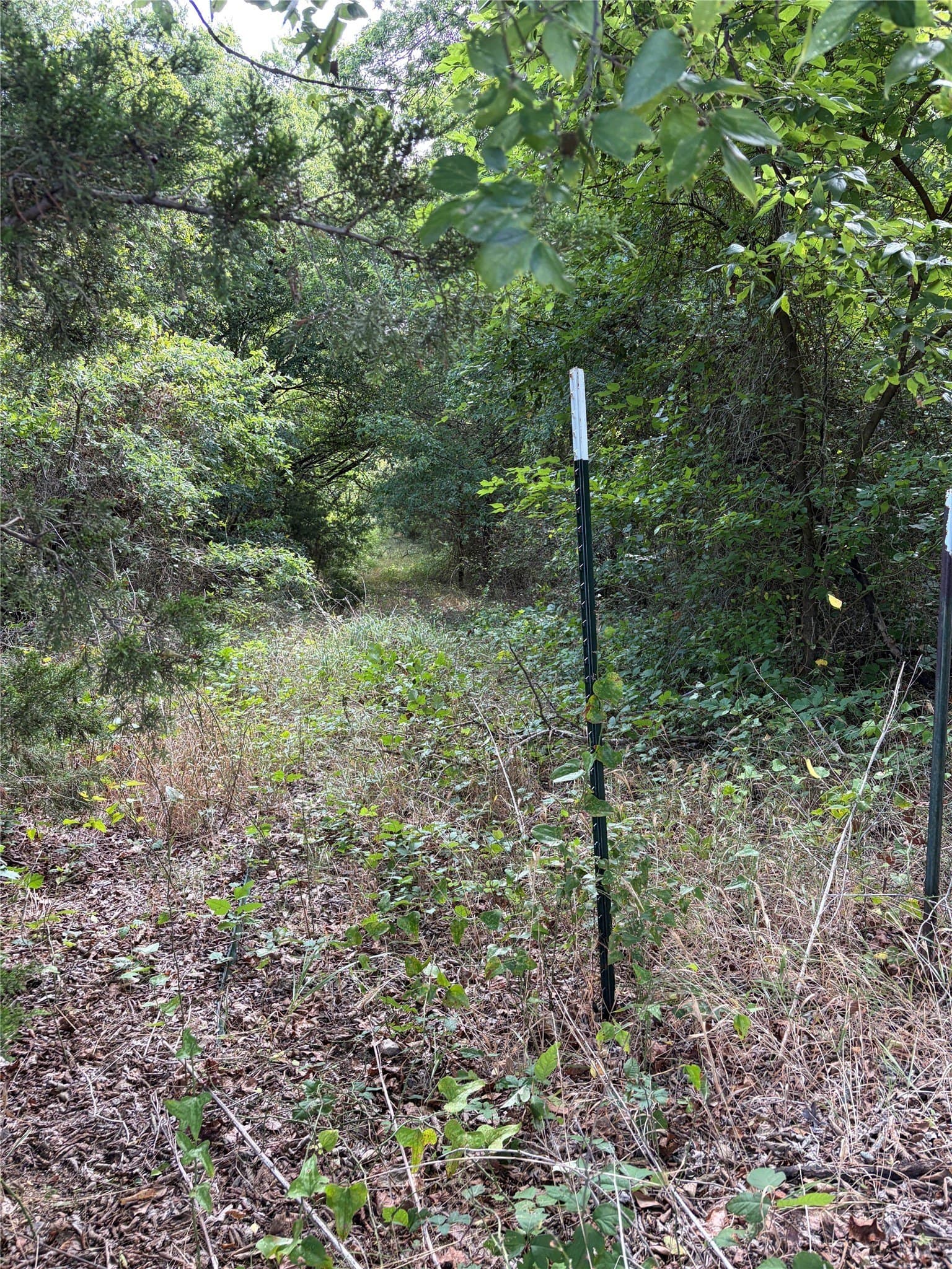 10.01 acres in Johnson County - photo 2