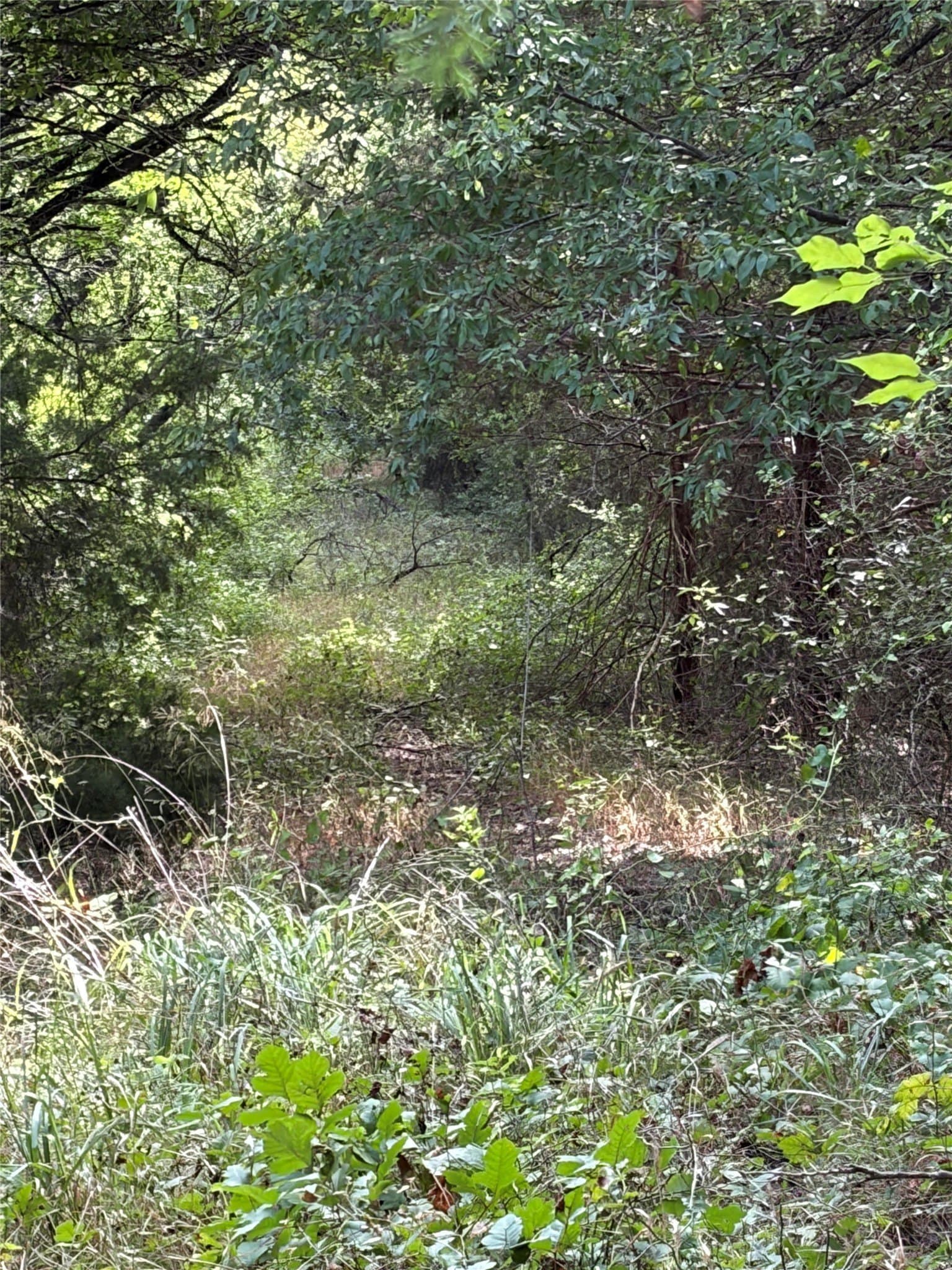 10.01 acres in Johnson County - photo 3