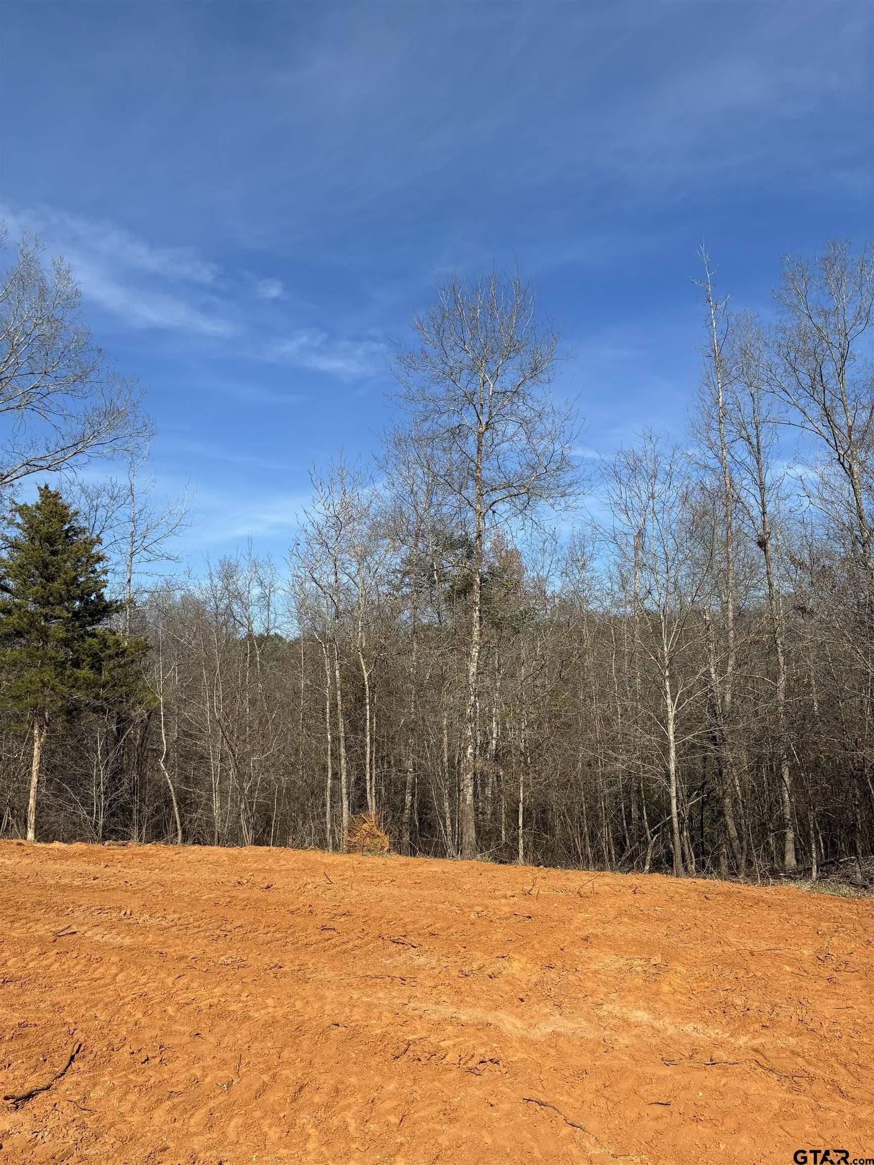 11 acres in Smith County - photo 11