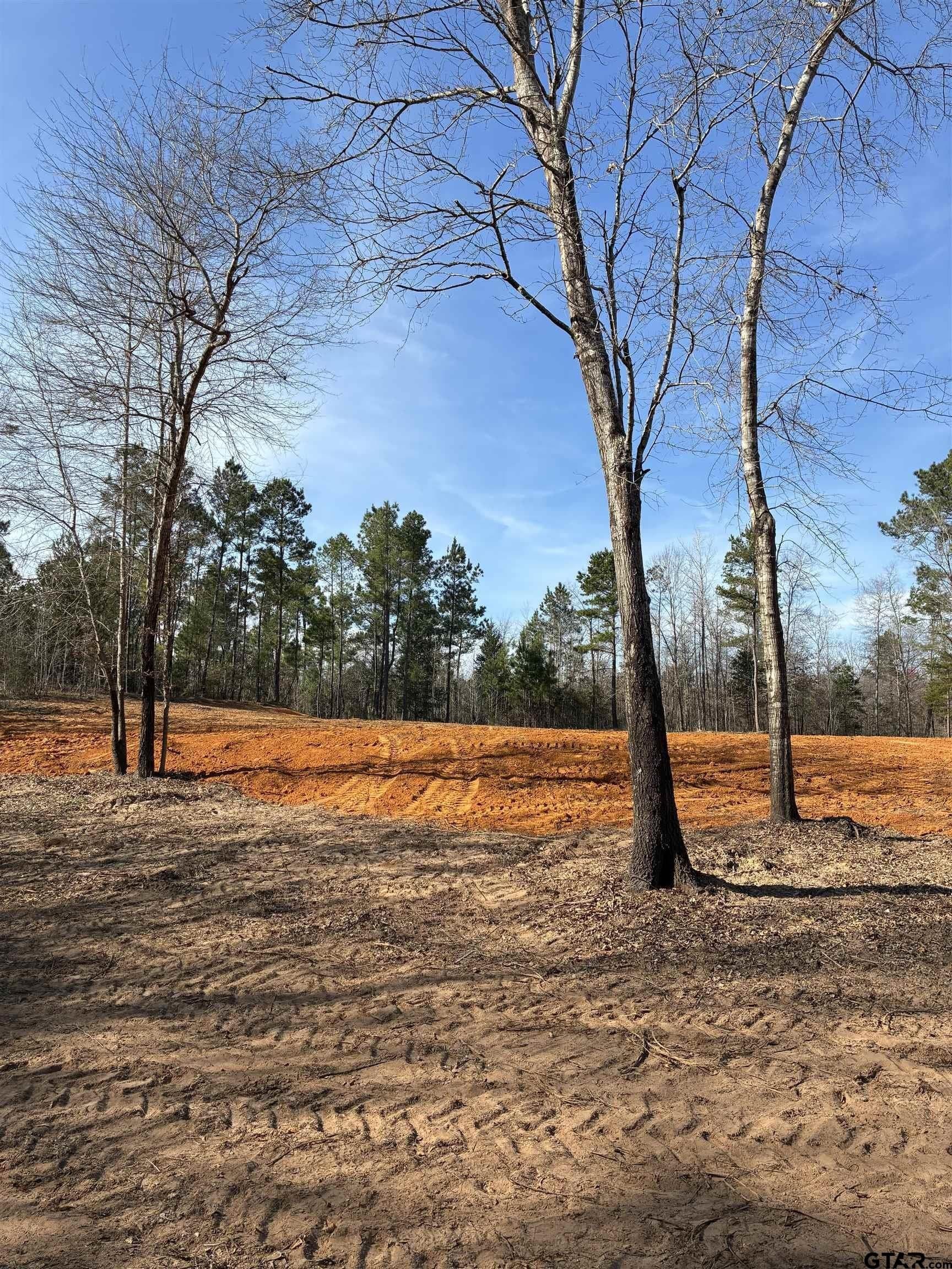 11 acres in Smith County - photo 7