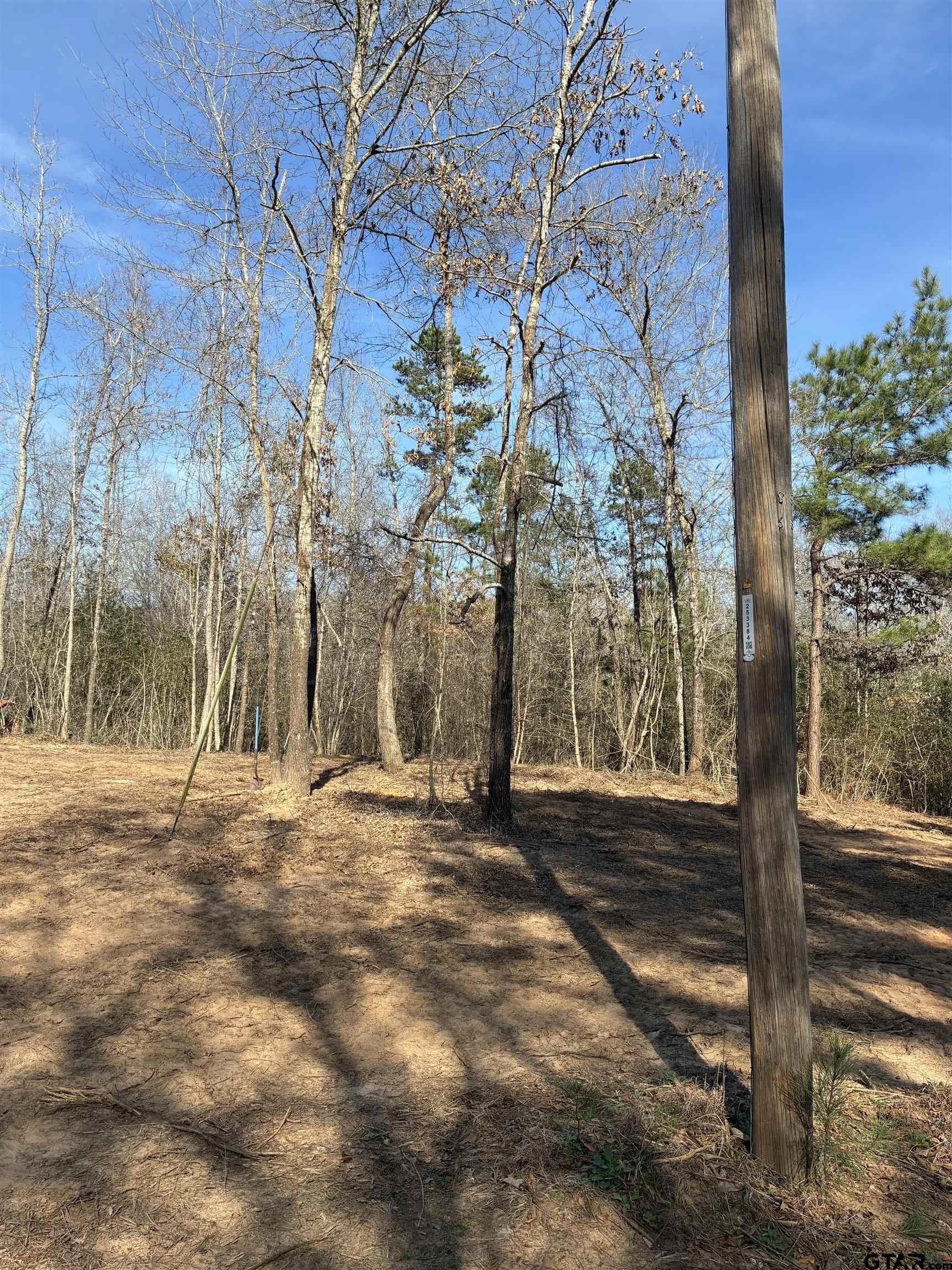 11 acres in Smith County - photo 12