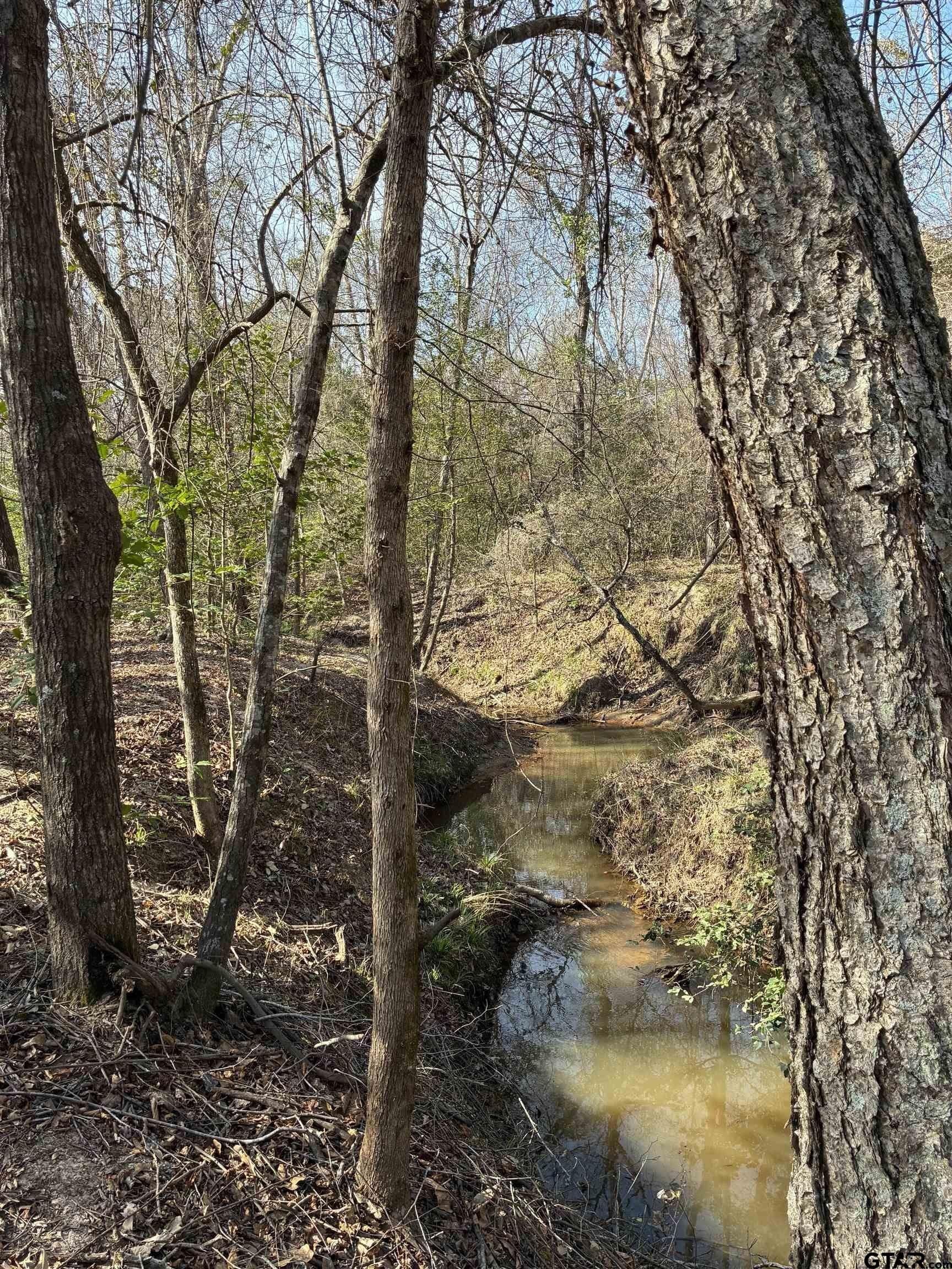 11 acres in Smith County - photo 6