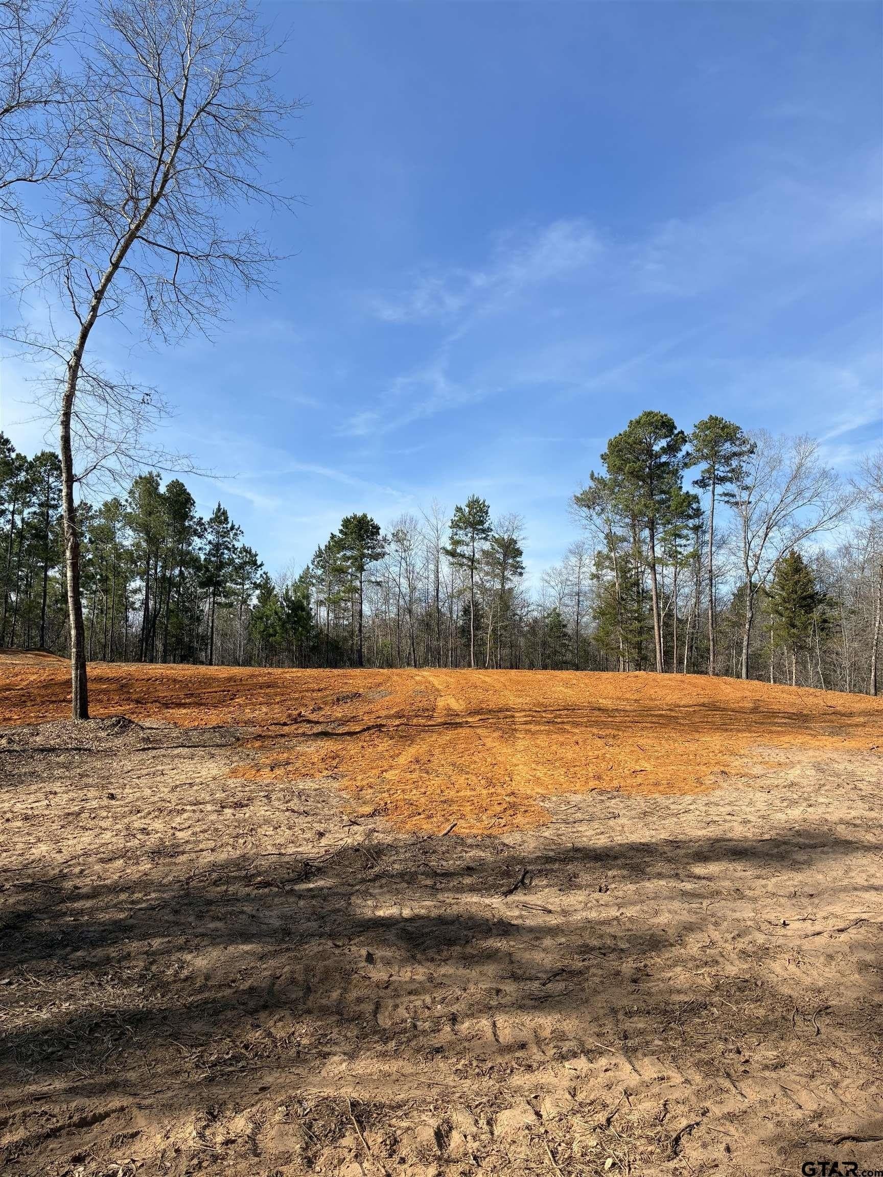 11 acres in Smith County - photo 13