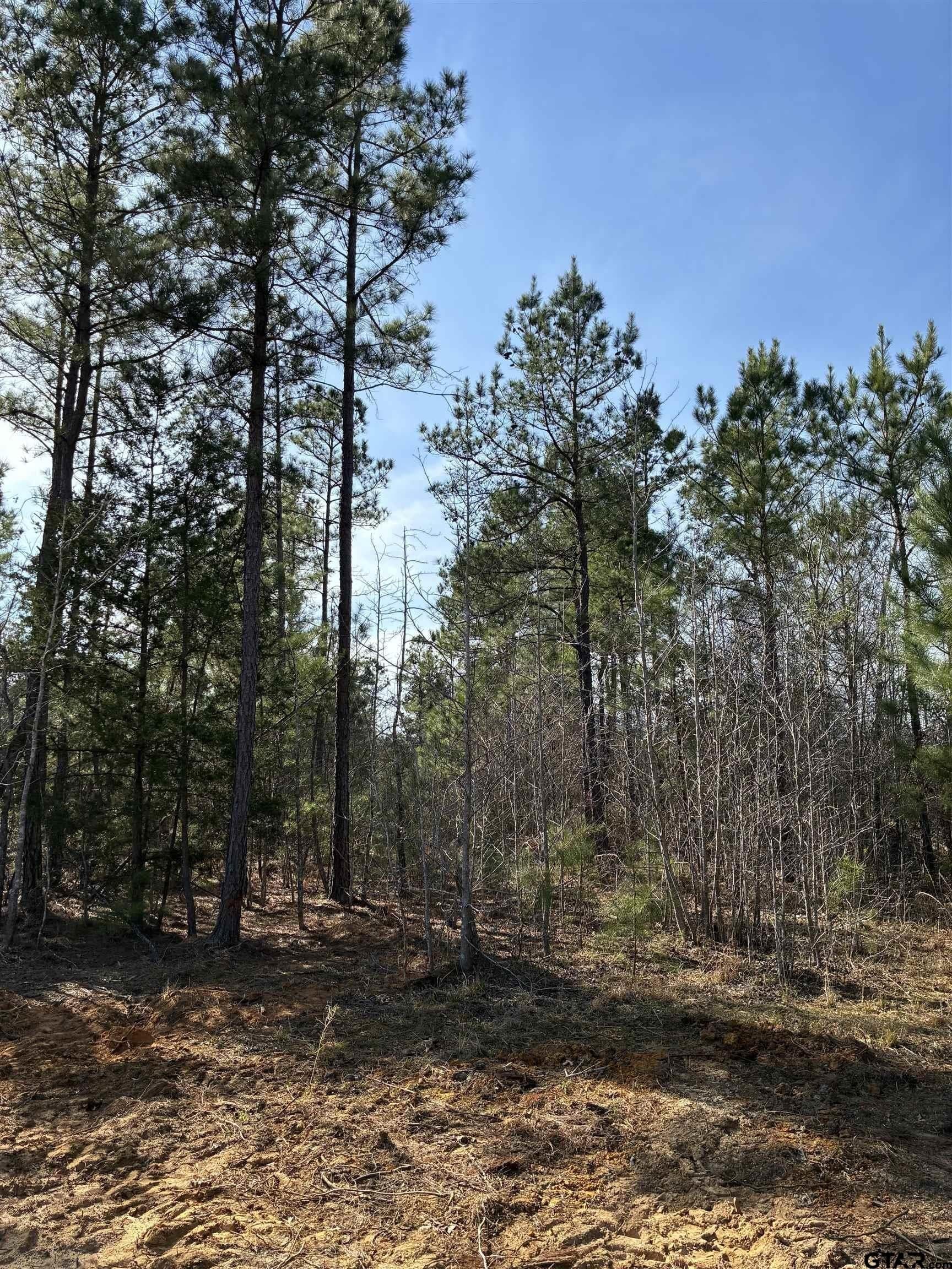 11 acres in Smith County - photo 10