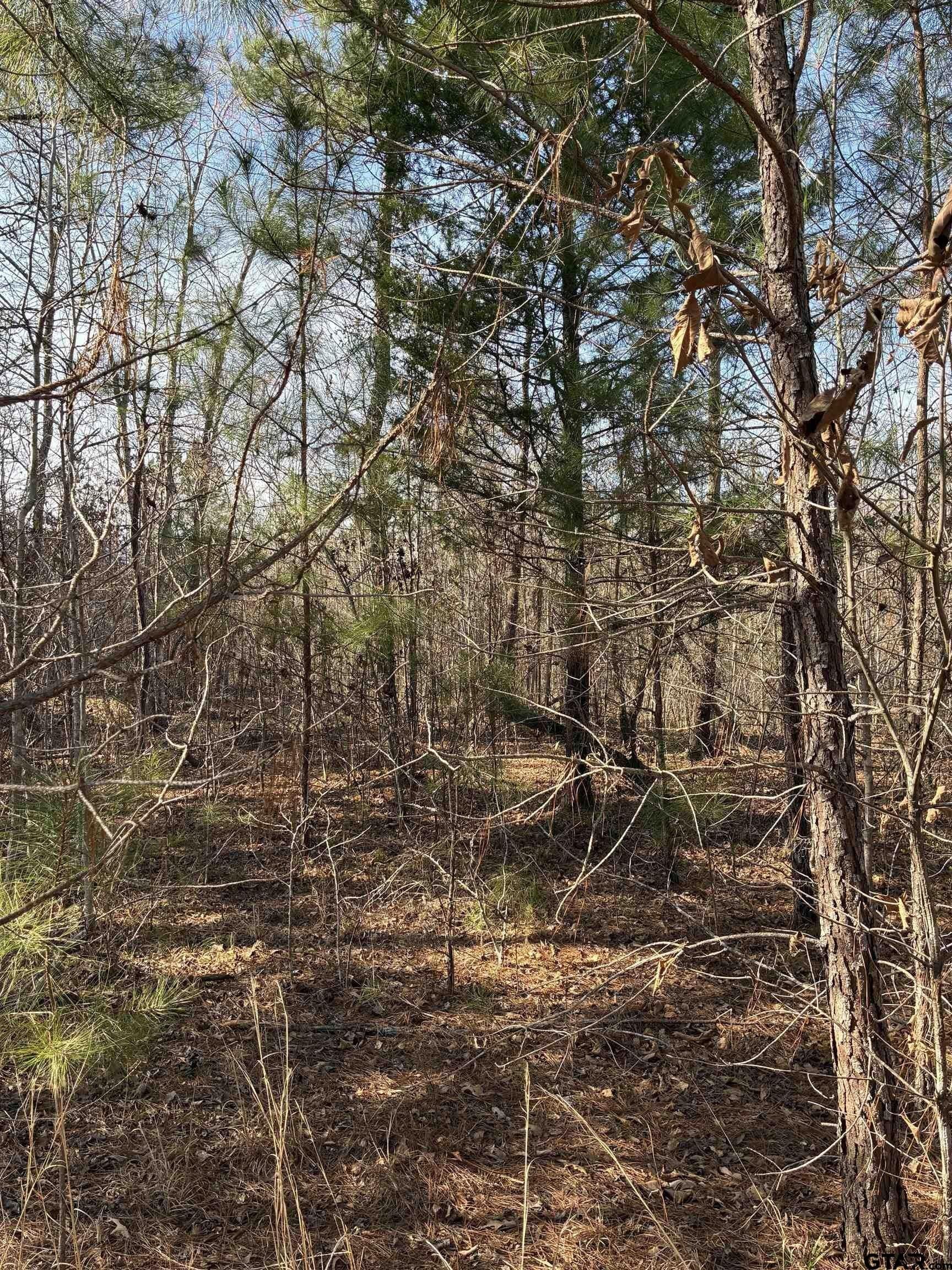 11 acres in Smith County - photo 9