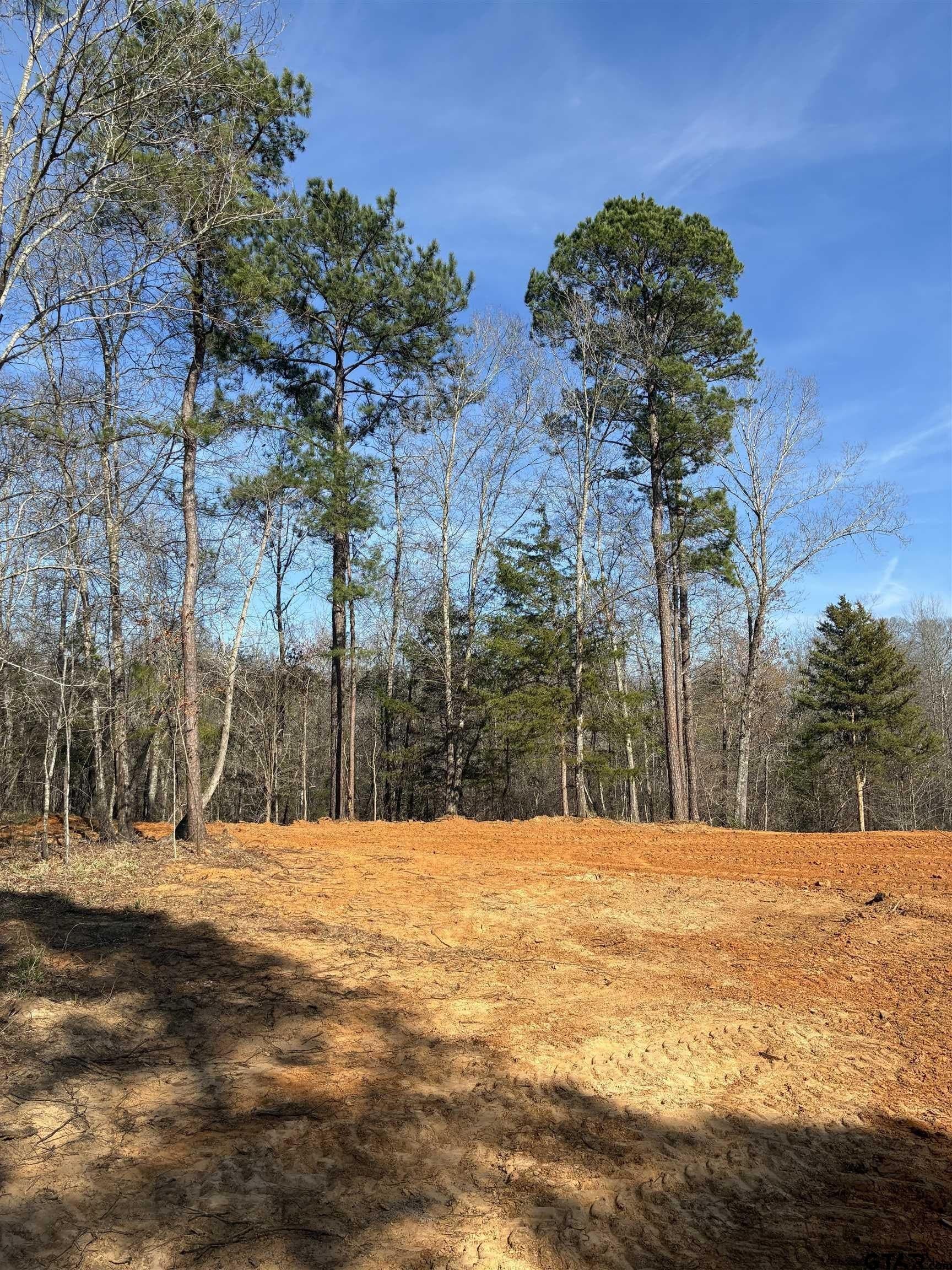 11 acres in Smith County - photo 8
