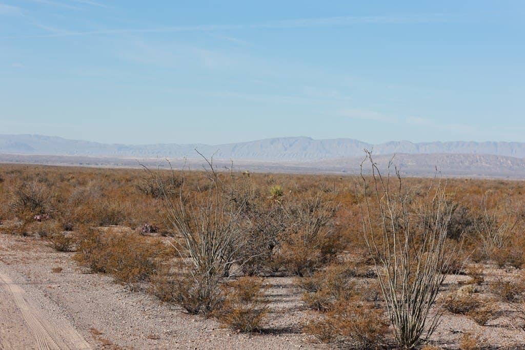 20 acres in Presidio County - photo 11