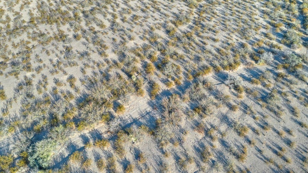 20 acres in Presidio County - photo 10