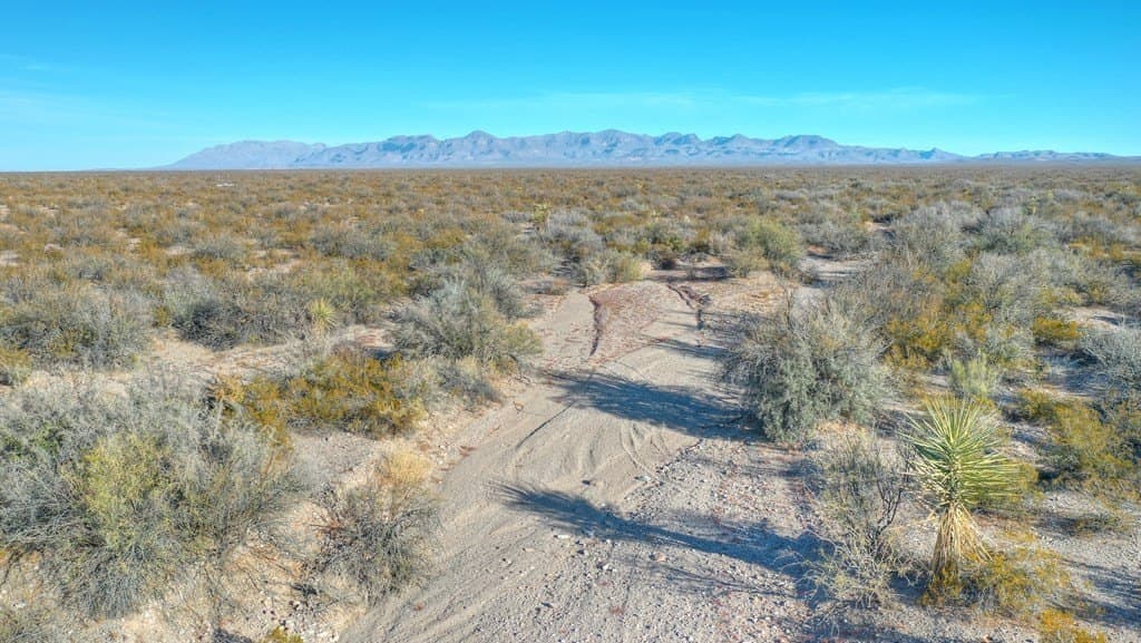 20 acres in Presidio County gallery image 2