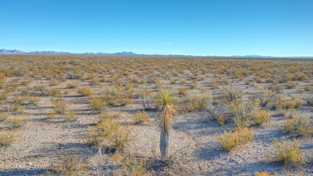 20 acres in Presidio County - photo 8