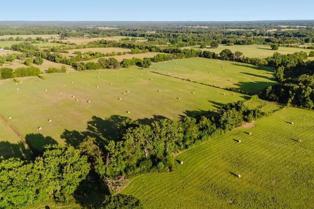 58.44 acres in Wood County - photo 12