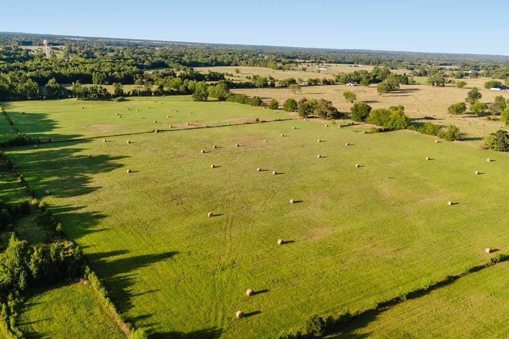 58.44 acres in Wood County - photo 11