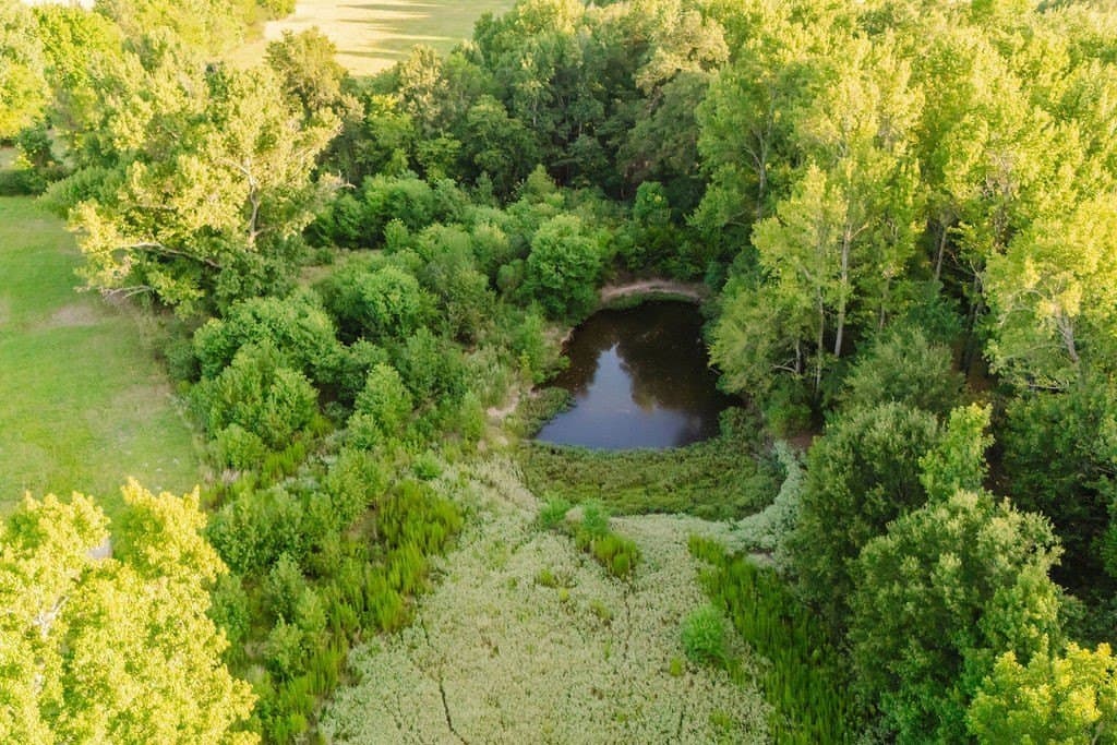 58.44 acres in Wood County - photo 3