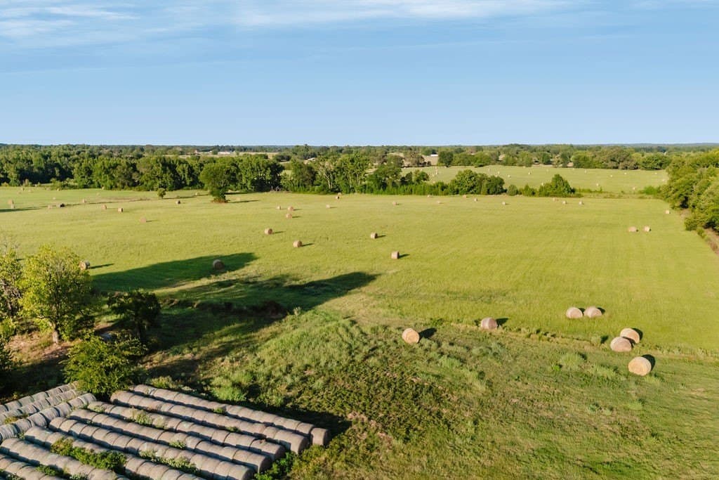 58.44 acres in Wood County - photo 15