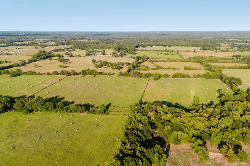 58.44 acres in Wood County - photo 5